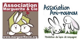 Association lapins