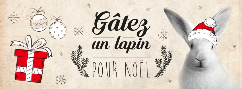 wr_bandeau_facebook_noel_1112