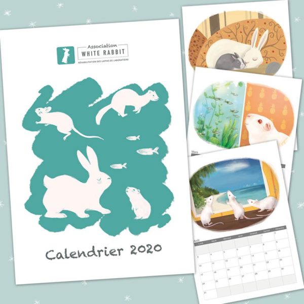 Calendrier 2020 - chevalet