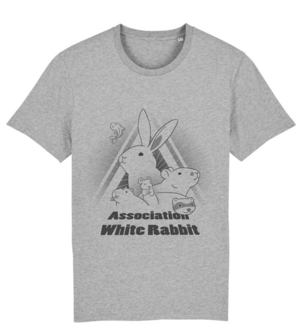 T-shirt bio unisexe - gris (précommande)