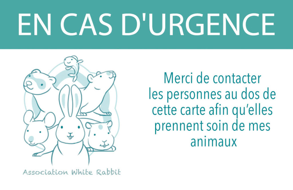 Carte Animal Seul à La Maison Prête à Imprimer Carte “seul à la maison” – White Rabbit