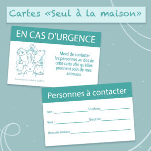 Carte "seul à la maison"