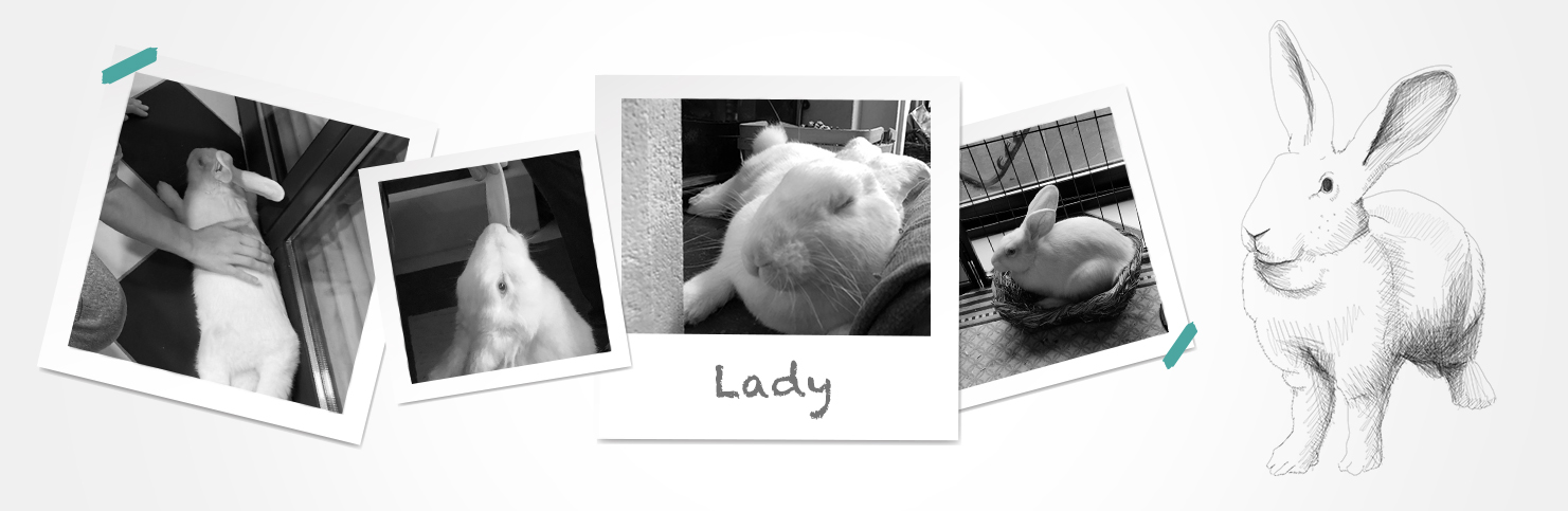 LADY