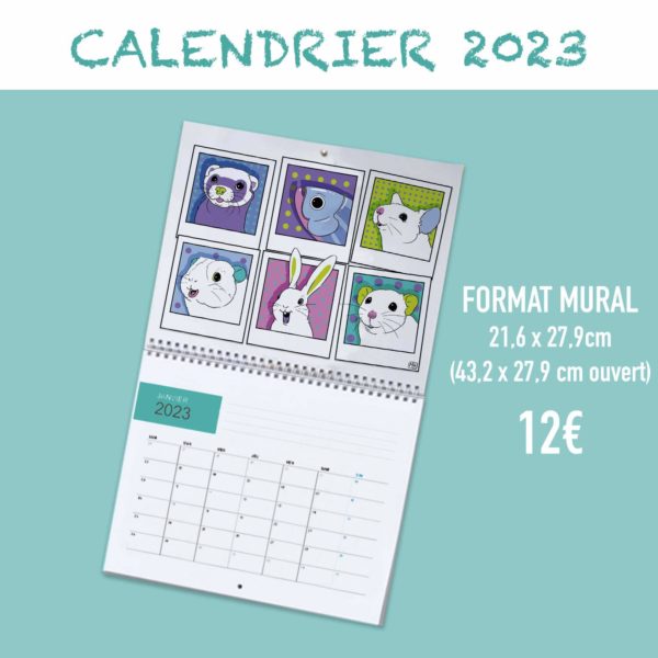 Calendrier 2023 - mural