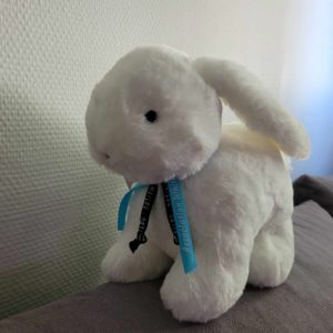 Peluche lapin 25 cm