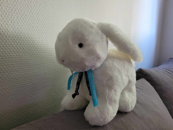 Peluche lapin 25 cm
