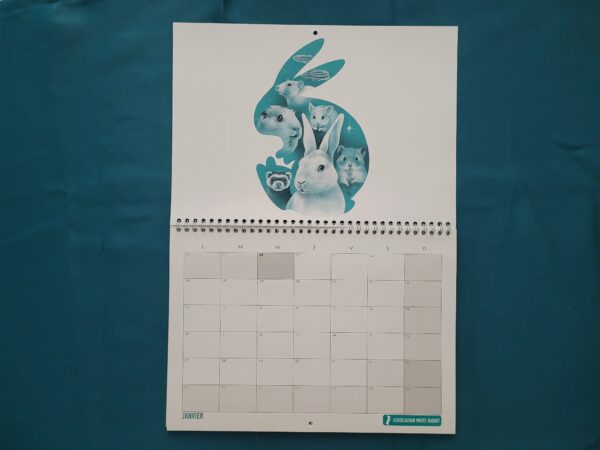 Calendrier 2025 - mural