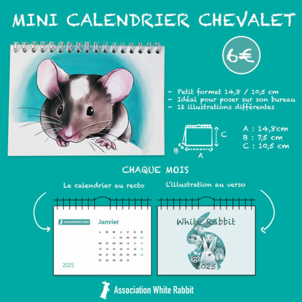 Calendrier 2025 - petit format chevalet – Image 2