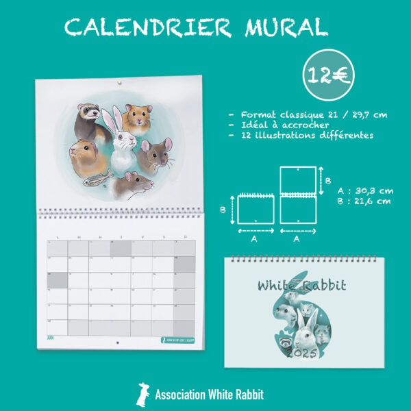 Calendrier 2025 - mural – Image 2