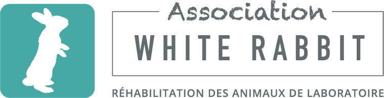 Association White Rabbit