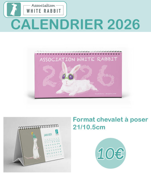 Calendrier 2026 - chevalet