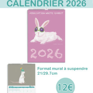 Calendrier 2026 - mural