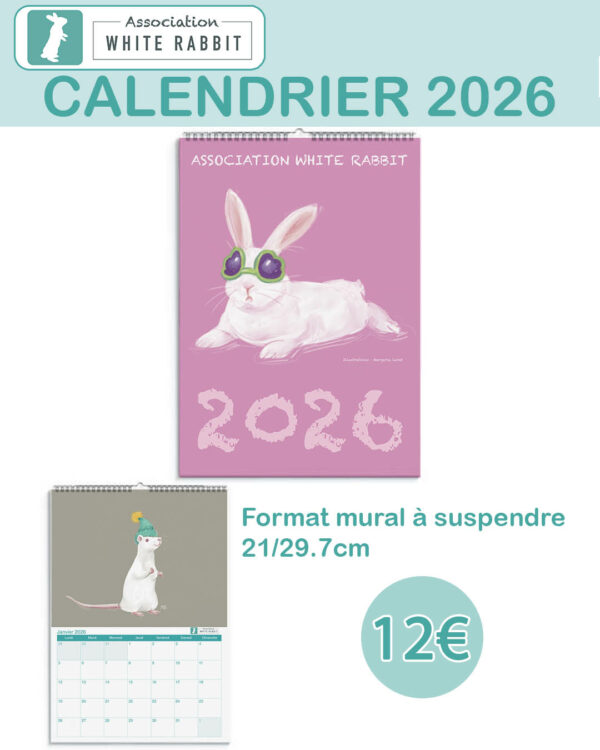 Calendrier 2026 - mural