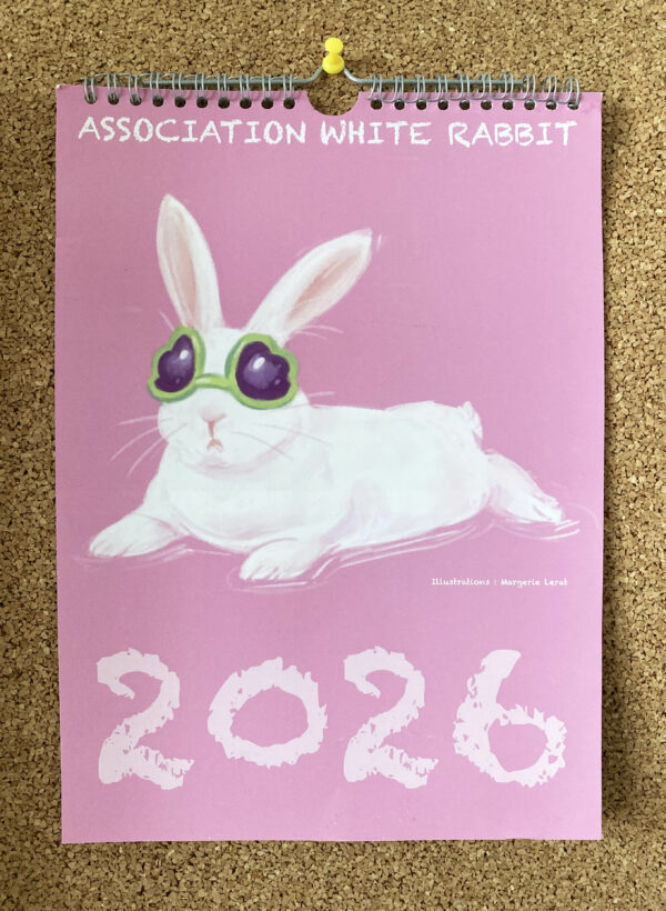 Calendrier 2026 - mural – Image 3